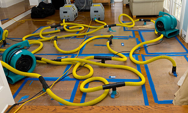 Professional Water Damage Repair technician working in Rego Park, NY